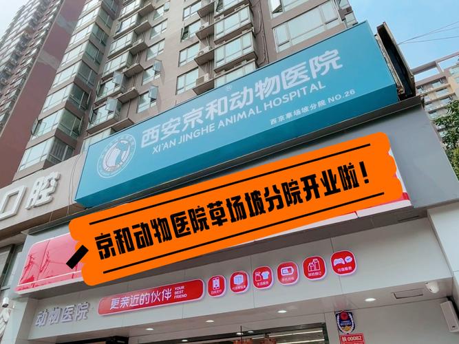 西安的哪家宠物医院比较好?西安宠物医院收费合理-图2 西安的哪家宠物医院比较好?西安宠物医院收费合理-图2