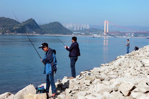 宜昌钓鱼带小孩玩的地方？宜昌收费钓鱼地方