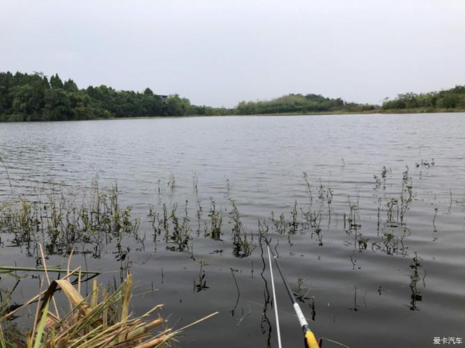 三岔湖钓鱼最佳地段?三岔湖钓鱼怎么收费-图2 三岔湖钓鱼最佳地段?三岔湖钓鱼怎么收费-图2