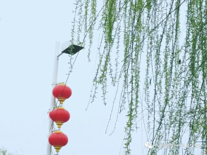 清风微醺满树落英摇蛙鸣绿水燕还巢万户人家春意晓?清风人家怎么收费-图3 清风微醺满树落英摇蛙鸣绿水燕还巢万户人家春意晓?清风人家怎么收费-图3