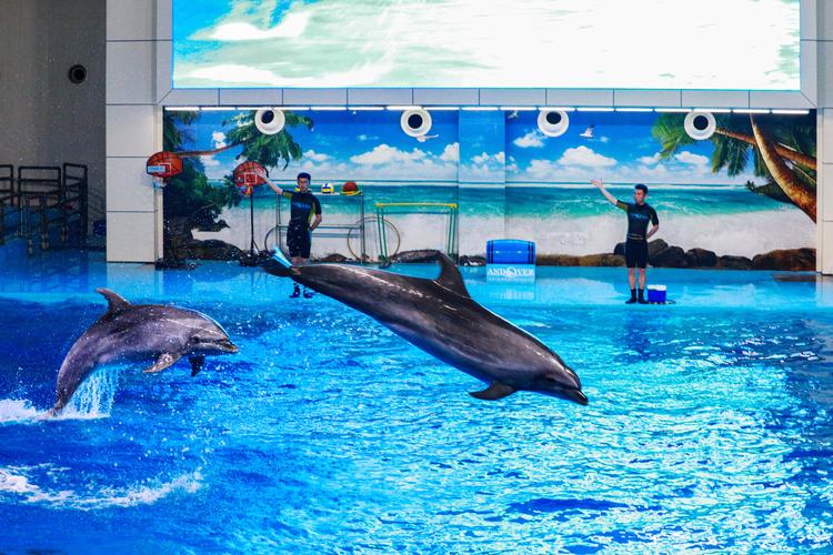 合肥恒大空港阳光半岛有没有海洋馆?合肥海洋馆停车收费吗-图3 合肥恒大空港阳光半岛有没有海洋馆?合肥海洋馆停车收费吗-图3