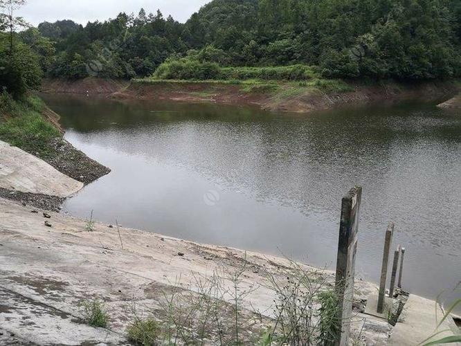永康九龙水库可以钓鱼吗?永康哪里钓鱼按天收费-图2 永康九龙水库可以钓鱼吗?永康哪里钓鱼按天收费-图2