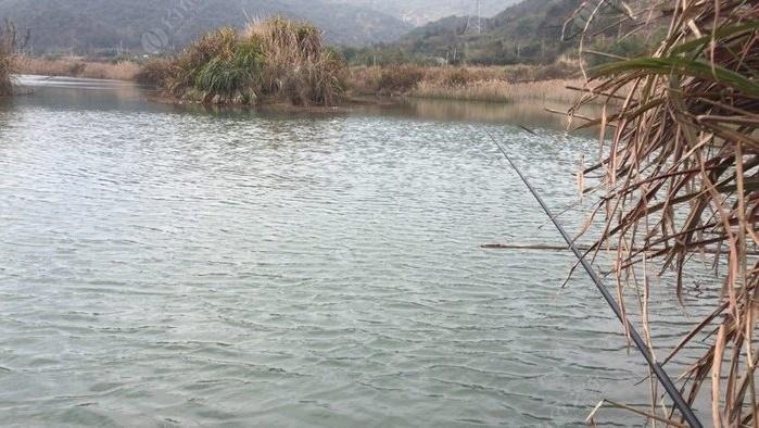 宁海野钓地点推荐?宁海收费的钓鱼-图2 宁海野钓地点推荐?宁海收费的钓鱼-图2