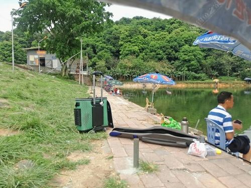 白云山钓鱼多少钱？广州钓鱼一般怎么收费
