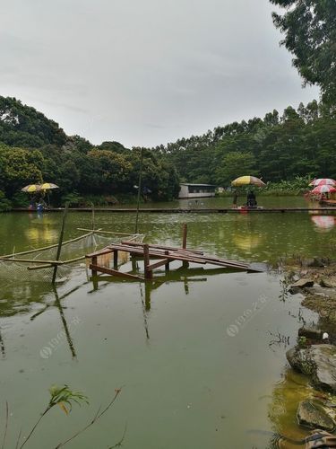 白云山钓鱼多少钱?广州钓鱼一般怎么收费-图2 白云山钓鱼多少钱?广州钓鱼一般怎么收费-图2