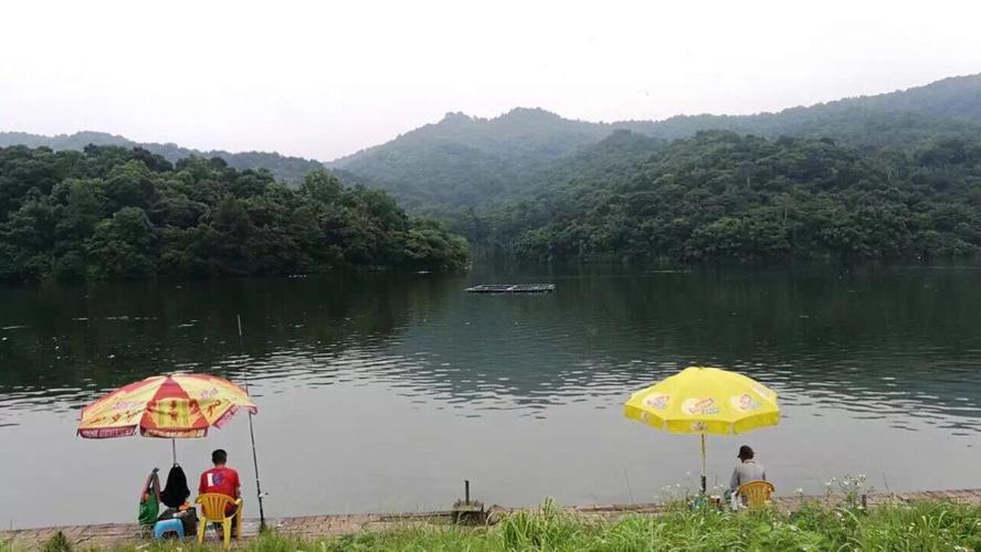 白云山钓鱼多少钱?广州钓鱼一般怎么收费-图3 白云山钓鱼多少钱?广州钓鱼一般怎么收费-图3