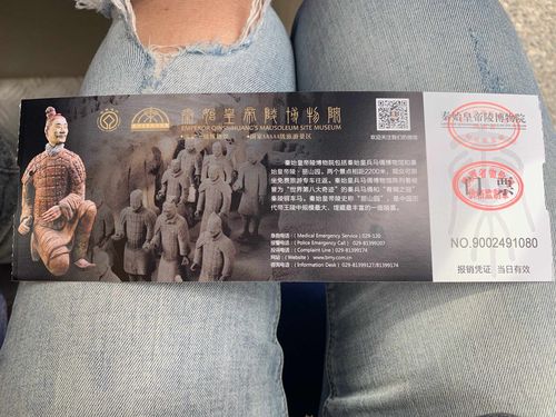 兵马俑120门票有导游讲解吗？西安兵马俑收费