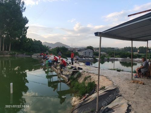 东莞清溪哪里可以去钓鱼的啊,如何收费?清溪龙眼坑钓鱼收费标准-图2 东莞清溪哪里可以去钓鱼的啊,如何收费?清溪龙眼坑钓鱼收费标准-图2