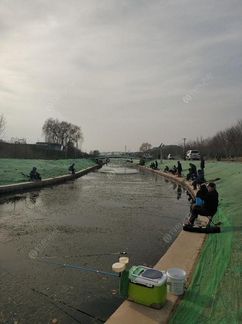 北京海淀清河野钓最佳地点?海淀不收费钓鱼-图3 北京海淀清河野钓最佳地点?海淀不收费钓鱼-图3