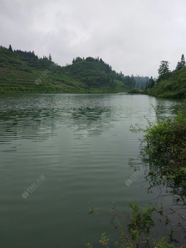 观景口水库可以钓鱼吗？巴南区公平成功水库怎么收费-图3