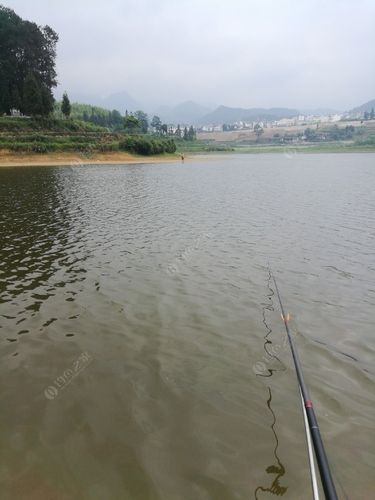 观景口水库可以钓鱼吗？巴南区公平成功水库怎么收费-图2