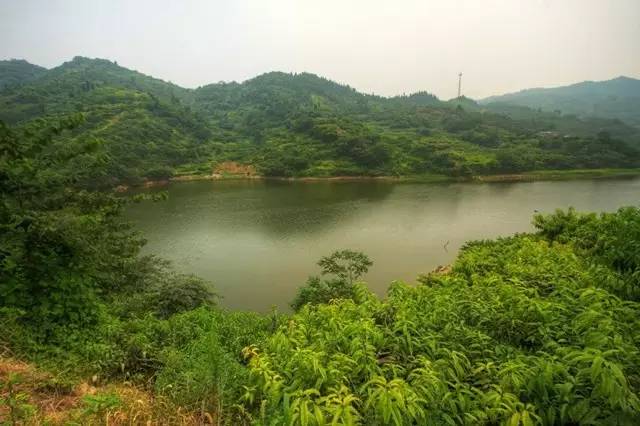 成都龙泉驿猫猫沟水库可以钓鱼吗?宝狮湖怎么收费-图2 成都龙泉驿猫猫沟水库可以钓鱼吗?宝狮湖怎么收费-图2