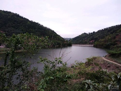 成都龙泉驿猫猫沟水库可以钓鱼吗?宝狮湖怎么收费-图3 成都龙泉驿猫猫沟水库可以钓鱼吗?宝狮湖怎么收费-图3