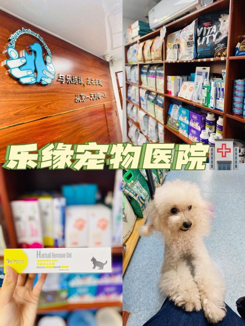 七个20字好句?滁州顽皮宠物医院收费-图2 七个20字好句?滁州顽皮宠物医院收费-图2