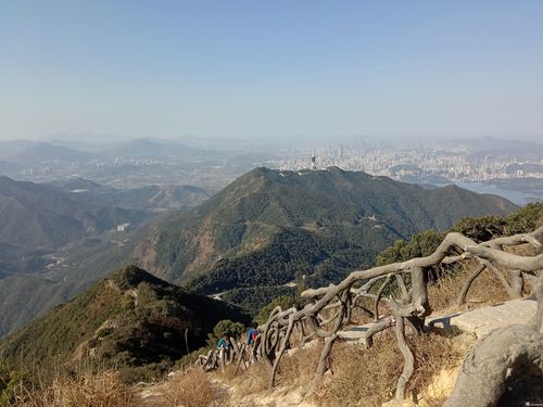 梧桐山公园和梧桐山是一个地方吗？深圳仙湖体育公园收费标准