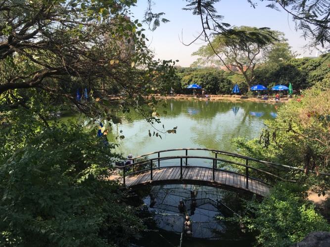 深圳六一儿童节适合玩的地方?青青世界钓鱼怎么收费-图2 深圳六一儿童节适合玩的地方?青青世界钓鱼怎么收费-图2