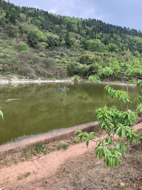 成都龙泉驿三岔河钓鱼咋样？三岔河风景区收费