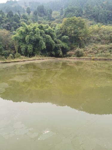 成都龙泉驿三岔河钓鱼咋样?三岔河风景区收费-图2 成都龙泉驿三岔河钓鱼咋样?三岔河风景区收费-图2