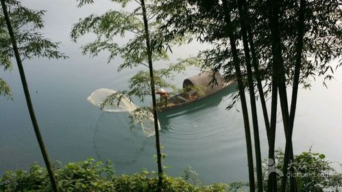 东江湖农家乐 排行榜?东江湖钓鱼收费-图3 东江湖农家乐 排行榜?东江湖钓鱼收费-图3