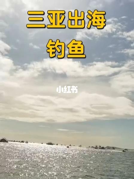三亚岸钓地点?三亚钓鱼收费标准-图1 三亚岸钓地点?三亚钓鱼收费标准-图1
