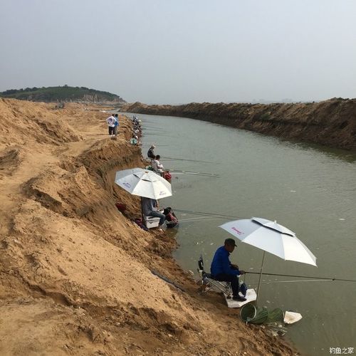 密度不大的鱼塘怎么能更好钓鱼?沙场水库钓鱼收费-图2 密度不大的鱼塘怎么能更好钓鱼?沙场水库钓鱼收费-图2