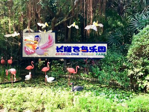 广州飞鸟乐园有寄存行李的吗?广州机场行李寄存收费-图2 广州飞鸟乐园有寄存行李的吗?广州机场行李寄存收费-图2