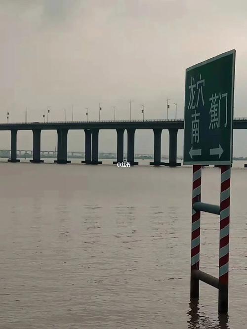 广州南沙有哪些旅游景点?凫洲大桥暂停收费-图3 广州南沙有哪些旅游景点?凫洲大桥暂停收费-图3