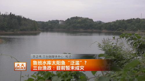 鲁班水库是谁承包的?绵阳三台鲁班水库钓鱼如何收费-图3 鲁班水库是谁承包的?绵阳三台鲁班水库钓鱼如何收费-图3