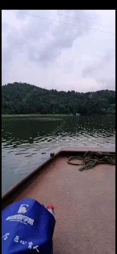 成都野钓可以去哪些地方？继光水库钓鱼怎样收费