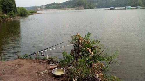 成都野钓可以去哪些地方?继光水库钓鱼怎样收费-图3 成都野钓可以去哪些地方?继光水库钓鱼怎样收费-图3