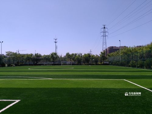 青岛城阳百姓乐园,是怎么消费的?7人足球场每小时收费-图3 青岛城阳百姓乐园,是怎么消费的?7人足球场每小时收费-图3