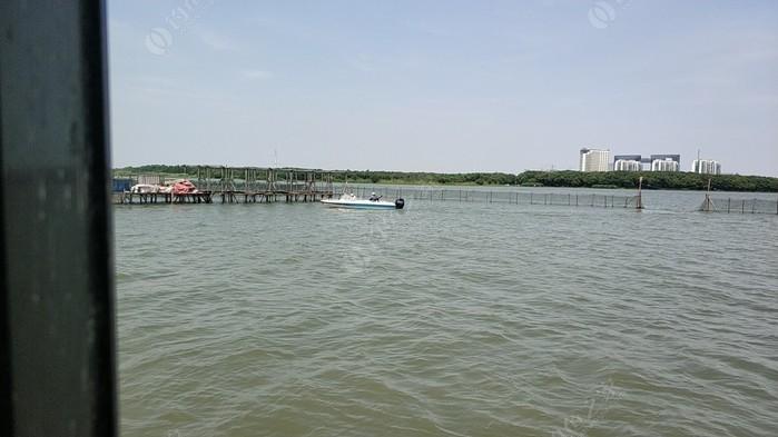 苏州阳澄湖为什么不可以钓鱼？阳澄湖钓鱼收费吗