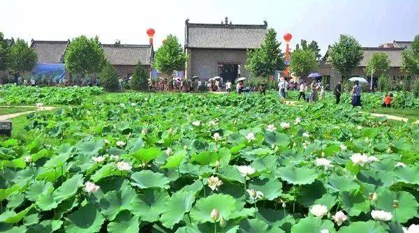 襄汾有什么旅游景点?襄汾荷花温泉收费标准-图2 襄汾有什么旅游景点?襄汾荷花温泉收费标准-图2