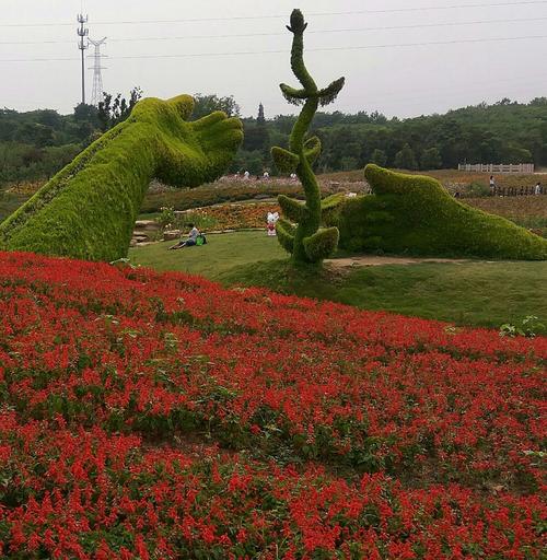 楚韵花香开放吗?楚韵花香收费么-图1 楚韵花香开放吗?楚韵花香收费么-图1