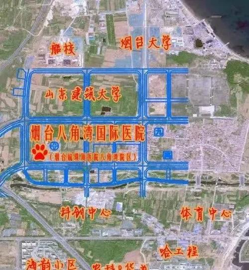 八角大学城要建哪些大学？烟台八角收费站-图3