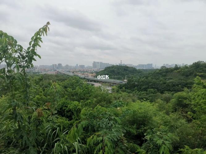 半山公园好玩吗？票价多少？一半山公园收费吗
