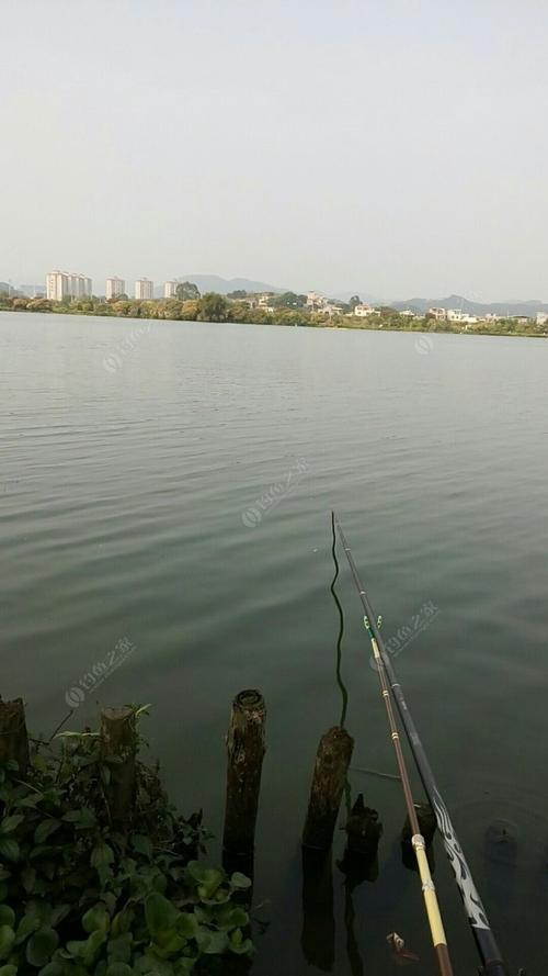 广东有什么好玩的沙滩?荷坳收费站钓鱼-图2 广东有什么好玩的沙滩?荷坳收费站钓鱼-图2