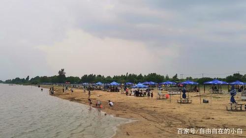 广东有什么好玩的沙滩?荷坳收费站钓鱼-图3 广东有什么好玩的沙滩?荷坳收费站钓鱼-图3