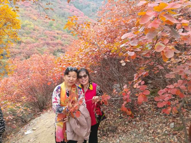 青州北站附近有什么好玩的?青州红叶谷收费吗-图2 青州北站附近有什么好玩的?青州红叶谷收费吗-图2