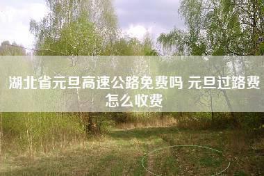 元旦要收过路费吗？元旦高速收费