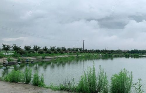 上海浦东路亚野钓点？上海最大收费钓场