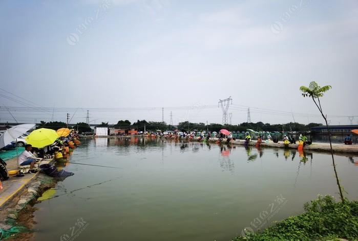 上海浦东路亚野钓点?上海最大收费钓场-图2 上海浦东路亚野钓点?上海最大收费钓场-图2
