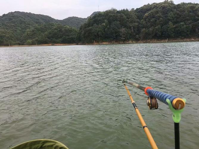 湖南窝参什么时候种？参窝水库钓鱼这么收费