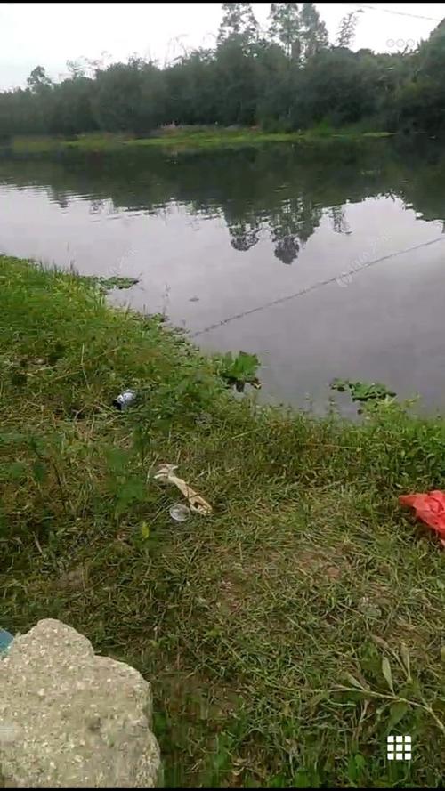 泉州哪里钓鱼资源最好?南安收费钓鱼-图3 泉州哪里钓鱼资源最好?南安收费钓鱼-图3