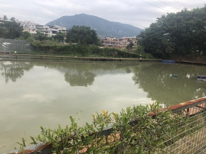 泉州哪里钓鱼资源最好?南安收费钓鱼-图1 泉州哪里钓鱼资源最好?南安收费钓鱼-图1
