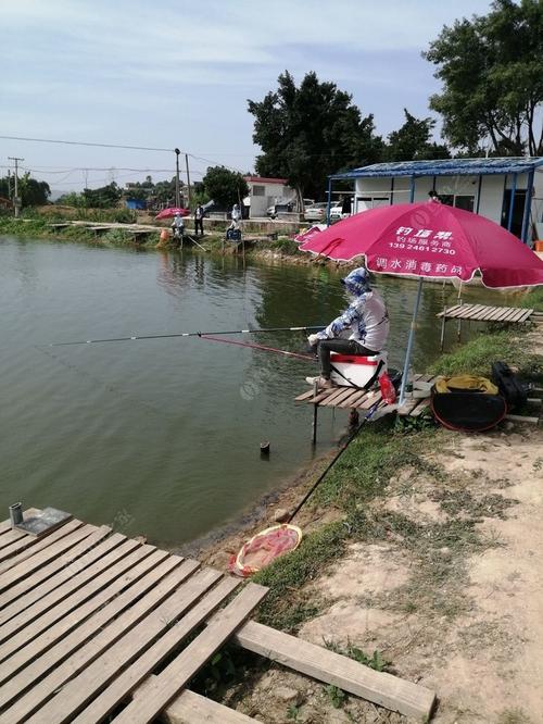 你好哇，请问泉州哪里有免费钓鱼的地方呢?湖？泉州西湖钓鱼怎么收费