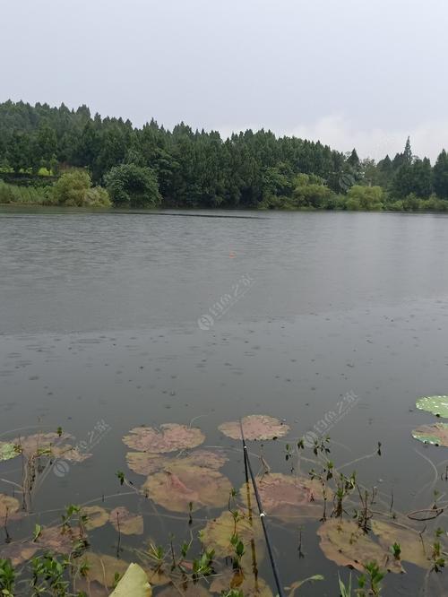 岳阳市岳阳楼区哪里可以钓鱼？岳阳何处好钓鱼自然环境收费