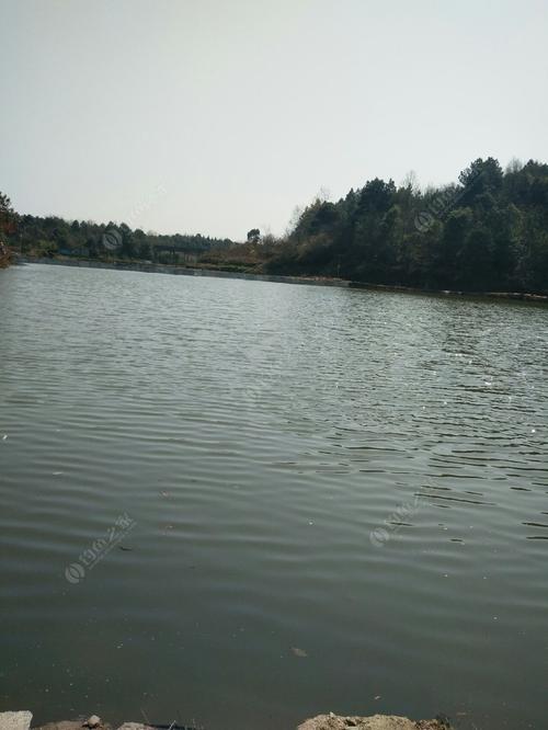 岳阳市岳阳楼区哪里可以钓鱼?岳阳何处好钓鱼自然环境收费-图2 岳阳市岳阳楼区哪里可以钓鱼?岳阳何处好钓鱼自然环境收费-图2
