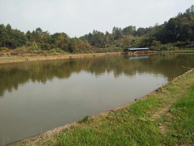 岳阳市岳阳楼区哪里可以钓鱼?岳阳何处好钓鱼自然环境收费-图3 岳阳市岳阳楼区哪里可以钓鱼?岳阳何处好钓鱼自然环境收费-图3