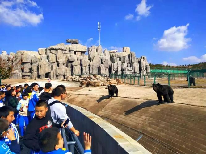 东胜动物园可以开车进去吗?东胜西火车站停车场收费吗-图2 东胜动物园可以开车进去吗?东胜西火车站停车场收费吗-图2